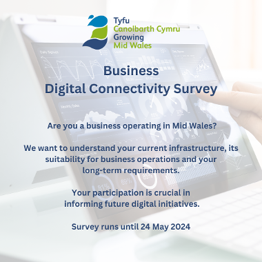 Business Digital Connectivity Survey