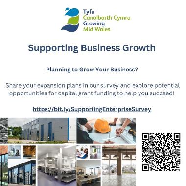 Supporting Business Growth survey